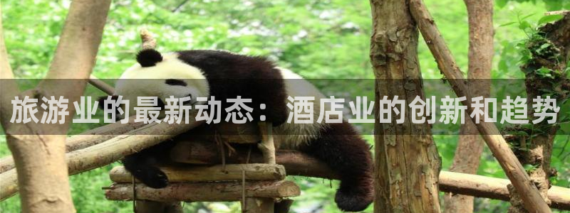 威廉希尔足球官网